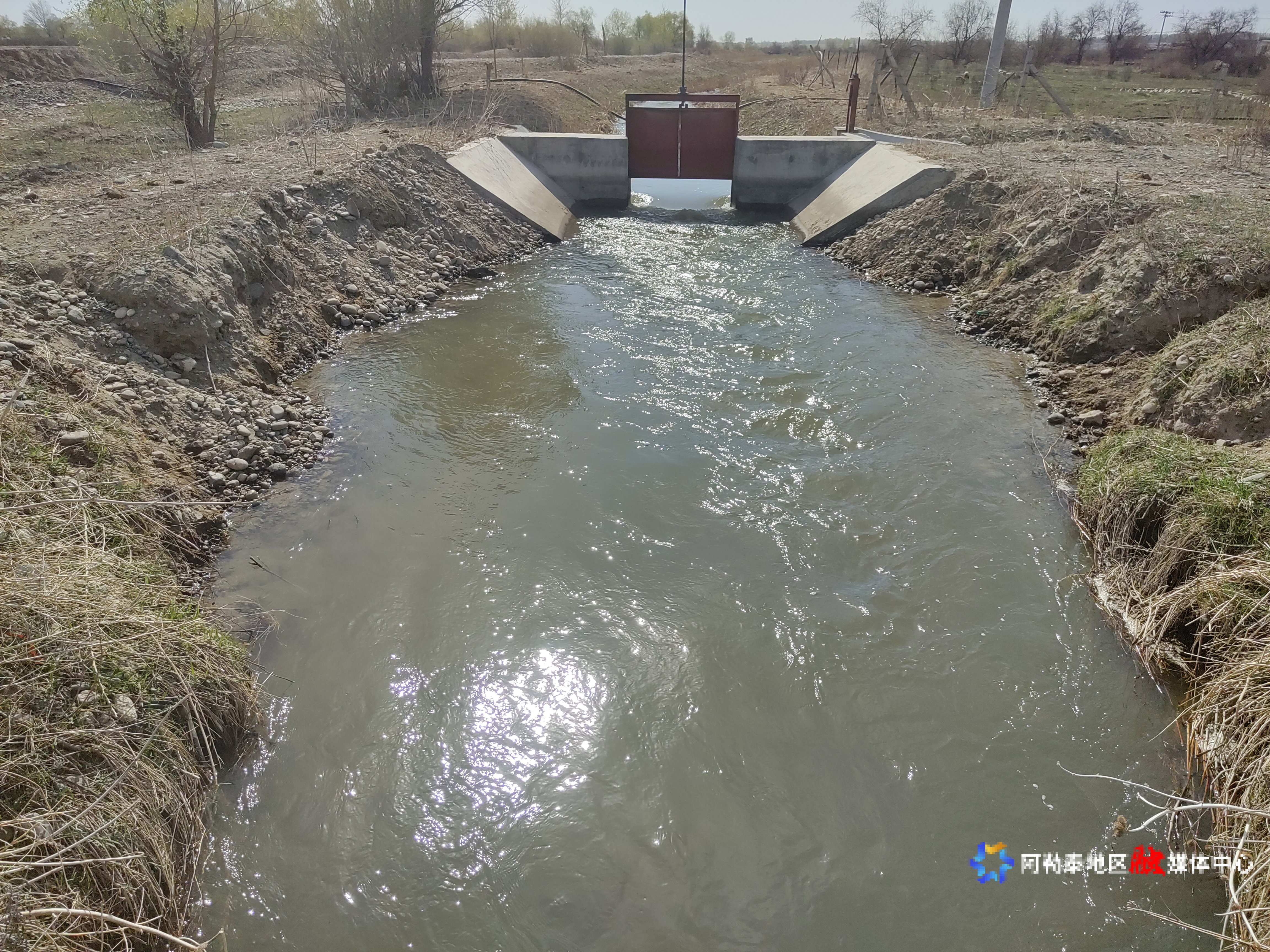 mmexport1746014126174